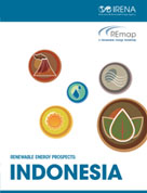 Renewable energy prospects: Indonesia